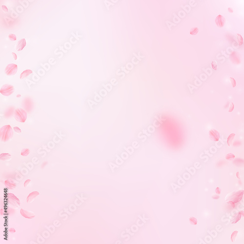 Sakura petals falling down. Romantic pink flowers borders. Flying petals on pink square background. Love, romance concept. Positive wedding invitation.