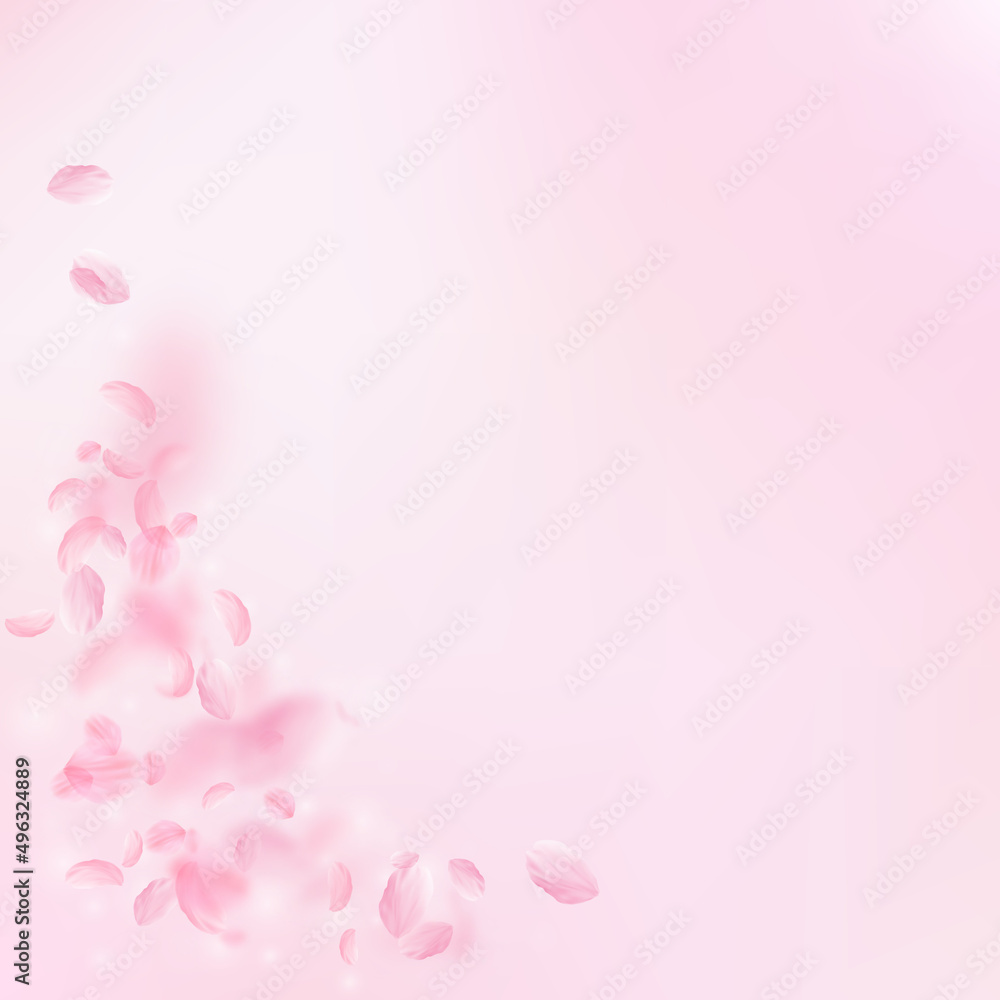 Sakura petals falling down. Romantic pink flowers corner. Flying petals on pink square background. Love, romance concept. Unique wedding invitation.