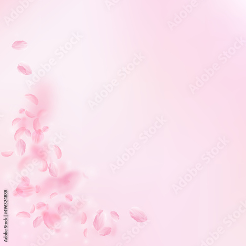 Sakura petals falling down. Romantic pink flowers corner. Flying petals on pink square background. Love, romance concept. Unique wedding invitation.