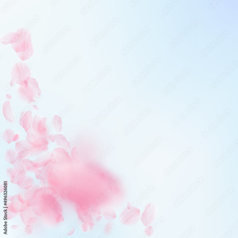 Sakura petals falling down. Romantic pink flowers corner. Flying petals on blue sky square background. Love, romance concept. Shapely wedding invitation.
