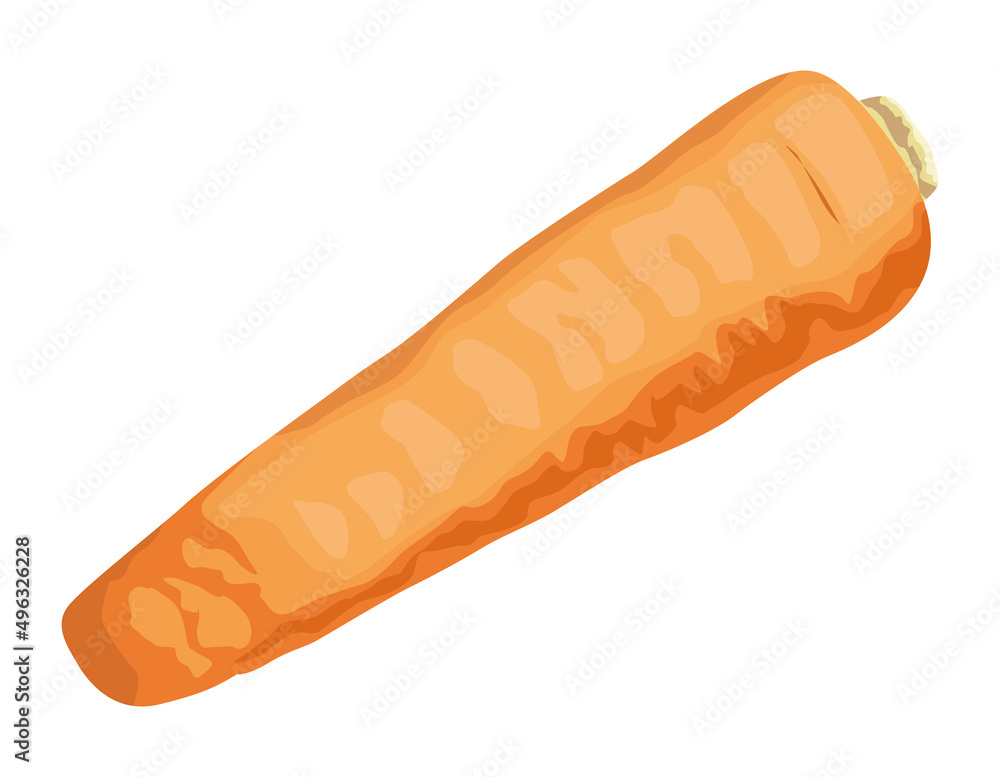 fresh carrot vegetable fresh carrot vegetable