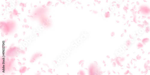 Sakura petals falling down. Romantic pink flowers vignette. Flying petals on white wide background. Love, romance concept. Pretty wedding invitation.
