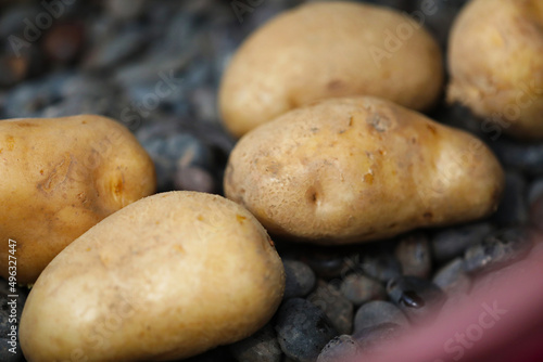 Potatoes lined up in a stone-grilled potato machine
