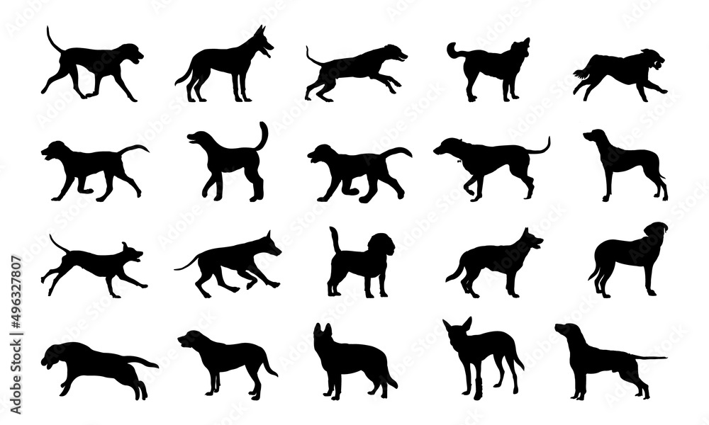 Vector silhouette of a dog on white background.