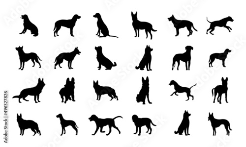 Vector silhouette of a dog on white background.