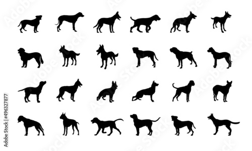 Vector silhouette of a dog on white background.