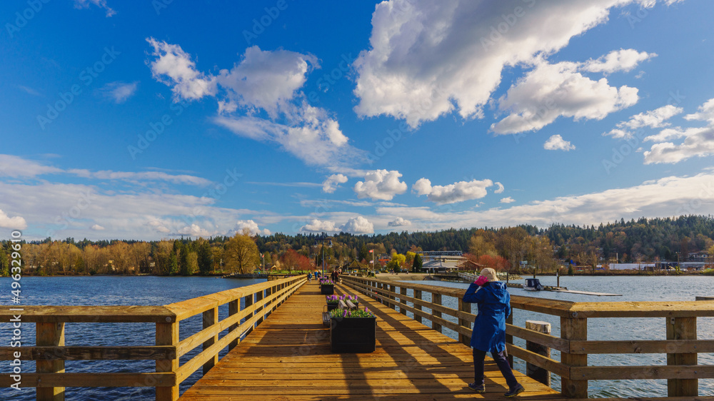 Pier at a BC public park on a windy Spring day.