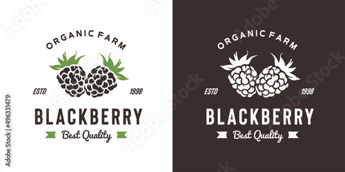 vintage blackberry fruit logo illustration suitable for fruit shop and fruit farm