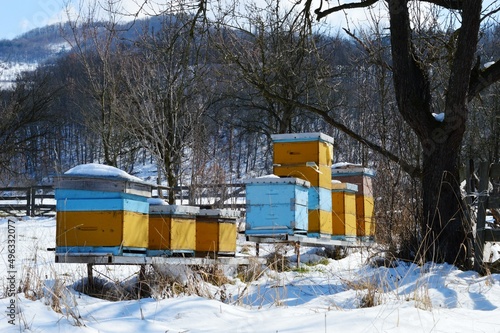 blue-yellow beehives in the snow