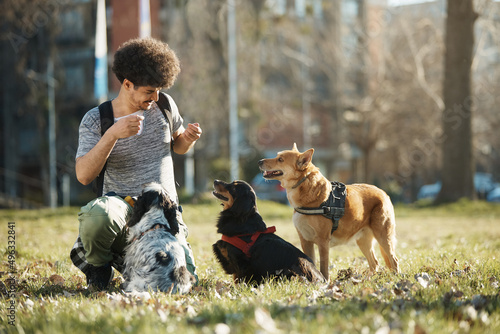 Happy pet sitter and small group of dogs in park.