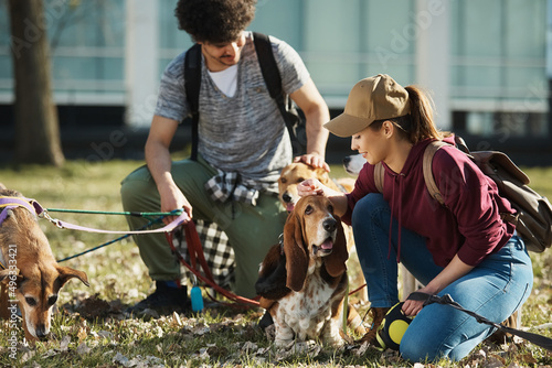 Young pet sitters and group of dogs relaxing on grass while walking in  park. photo