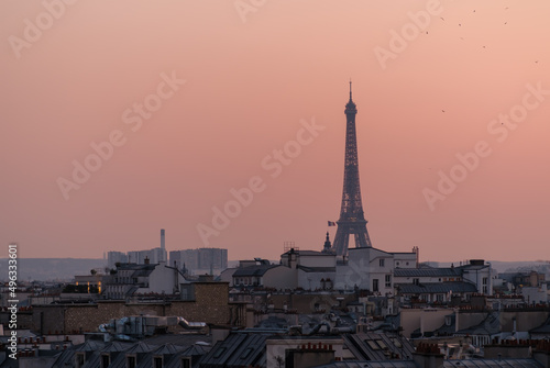 View of the stunning Eiffel Tower above the rooftops of Paris and a beautiful sunset © DIMITRIOS