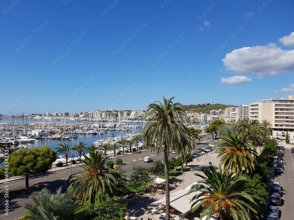 View of Palma Marina, Mallorca, Balearic Islands, Spain