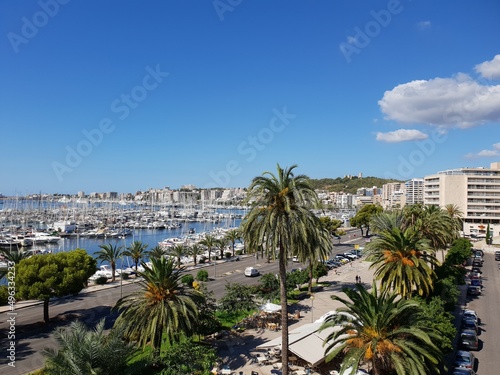 View of Palma Marina  Mallorca  Balearic Islands  Spain