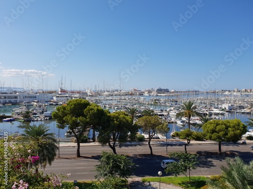 View of Palma Marina, Mallorca, Balearic Islands, Spain