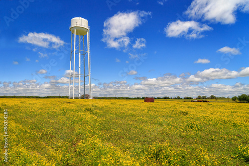 East Texas Water Tank photo