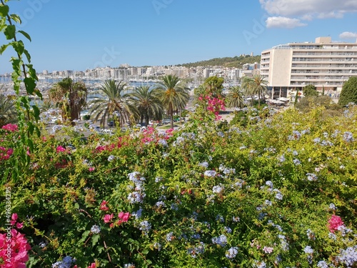 Sea of flowers, apartment houses and marina of Palma, Mallorca, Balearic Islands, Spain