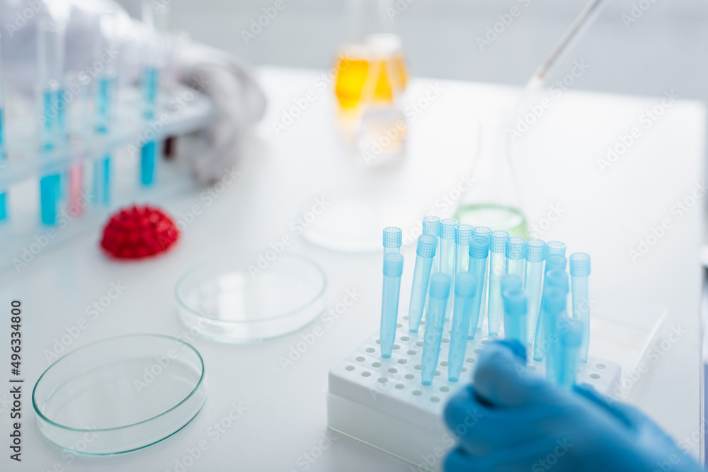 cropped view of scientists near test tubes and blurred petri dishes in laboratory. cropped view of scientists near test tubes and blurred petri dishes in laboratory.