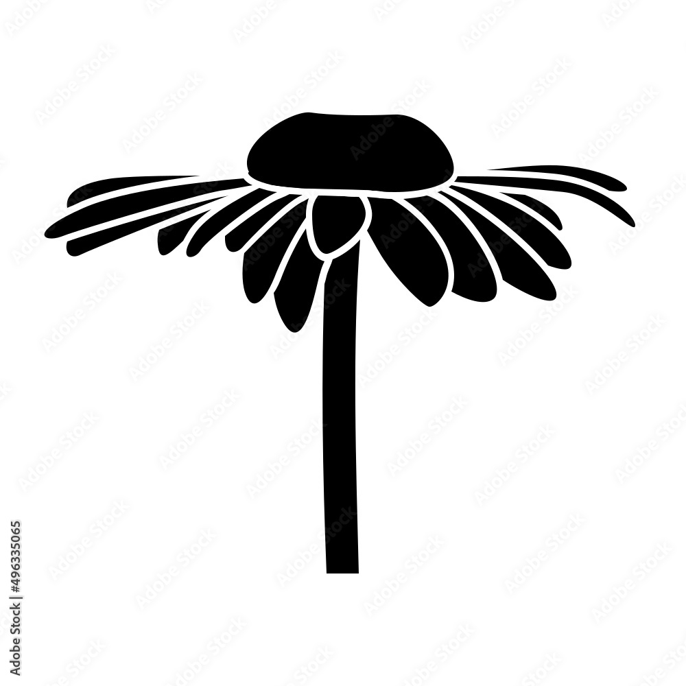 MARGUERITE FLEUR 2