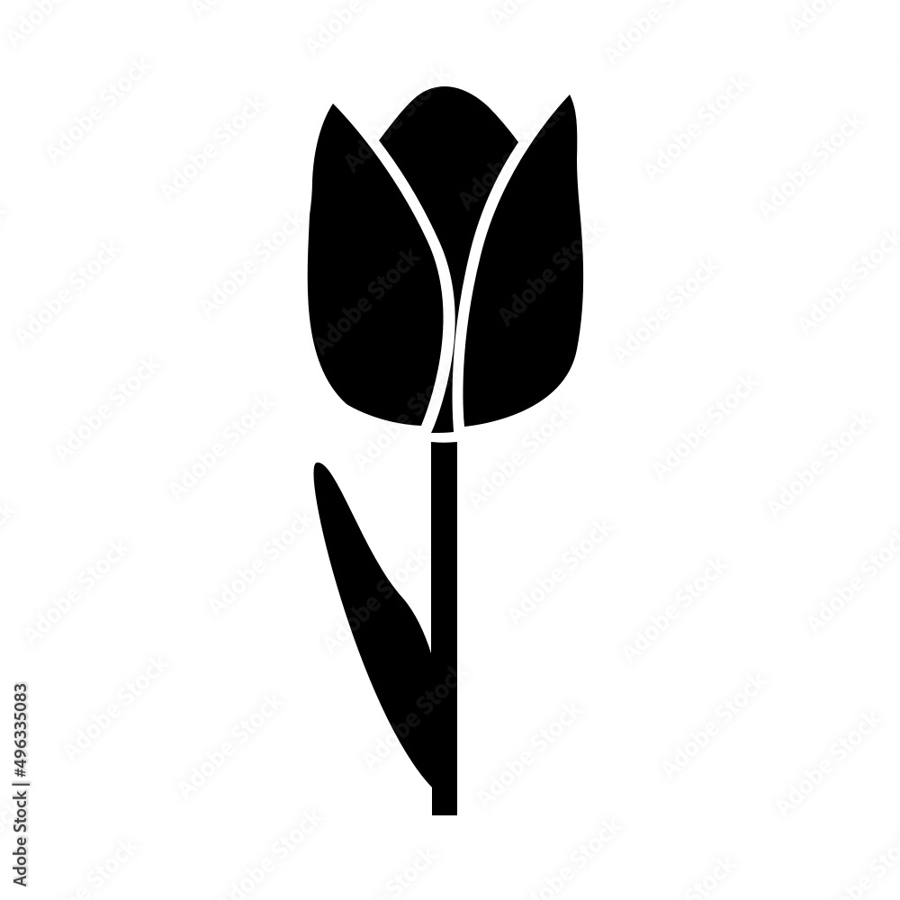 TULIPE FLEUR TULIPE FLEUR