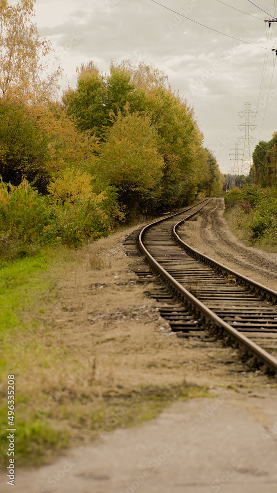 Fototapeta premium Natura - Tory 