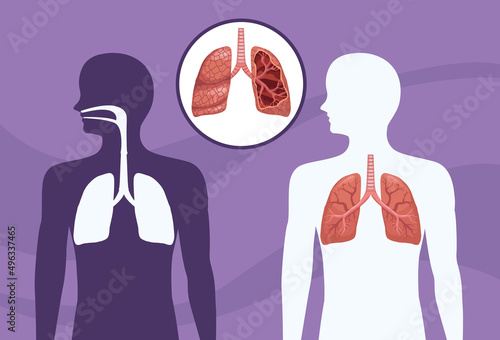realistic human lungs
