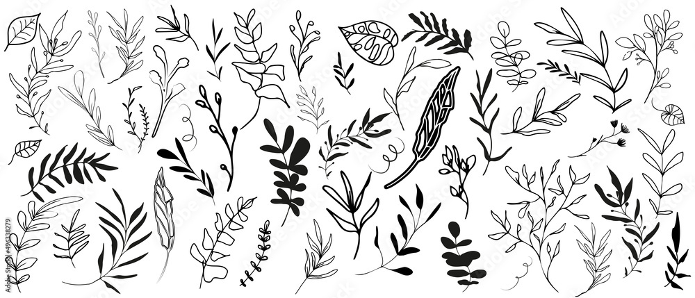 Big hand drawn black plant set - universally usable. Botanical, chic and trendy plants. Hand drawn lines, elegant leaves for your own design. Flower branch and minimalistic modern plants.