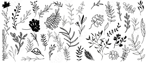 Big hand drawn black plant set - universally usable. Botanical  chic and trendy plants. Hand drawn lines  elegant leaves for your own design. Flower branch and minimalistic modern plants.