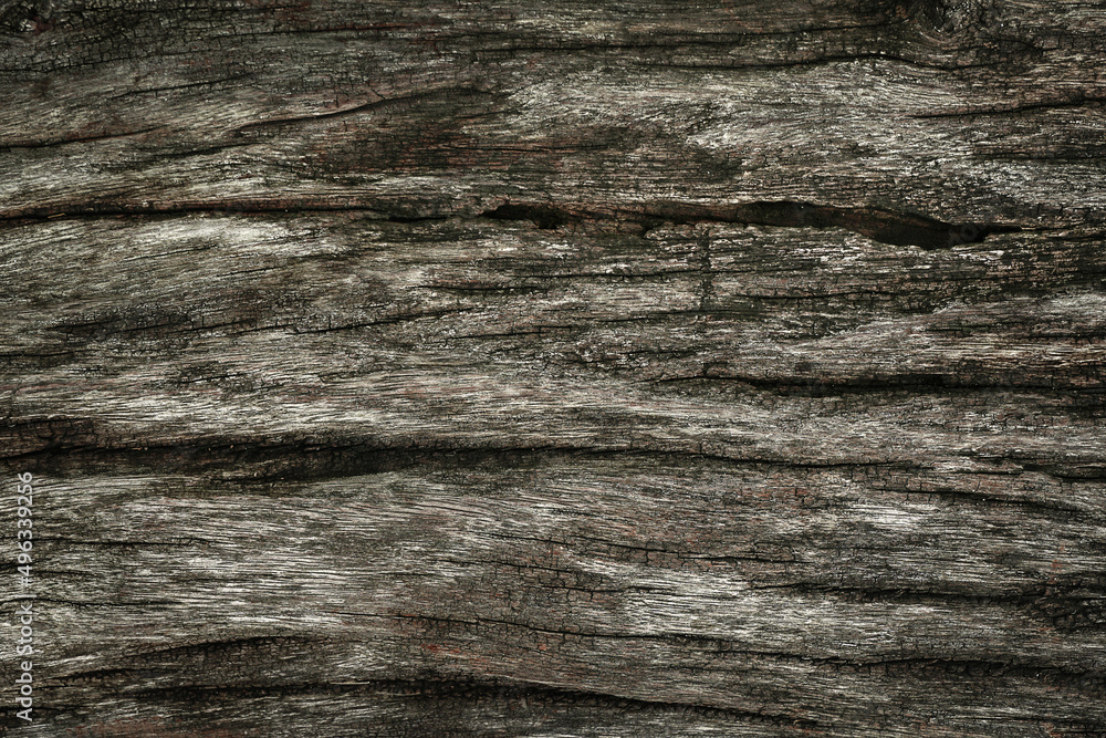 Wood texture natural, Surface eroded by time,Old wood background, Selective focus. Wood texture natural, Surface eroded by time,Old wood background, Selective focus.