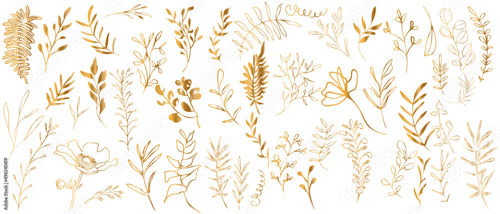 Big hand drawn colorful gold plant set - universally usable. Botanical, chic and trendy plants. Hand drawn lines, elegant leaves for your own design. Flower branch and minimalistic modern plants. - obrazy, fototapety, plakaty 