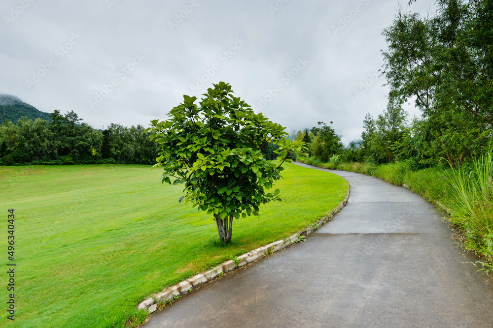 Green golf course with footpath