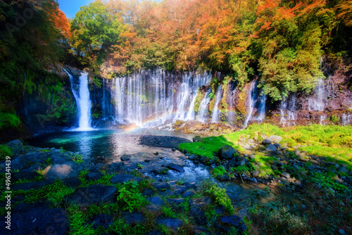 Fototapeta Naklejka Na Ścianę i Meble -  Shiraito Falls with colorful autumn leaf in Fujinomiya, Shizuoka, Japan.