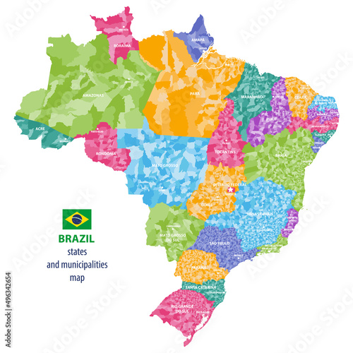 Brazil states and municipalities vector high detailed colored map