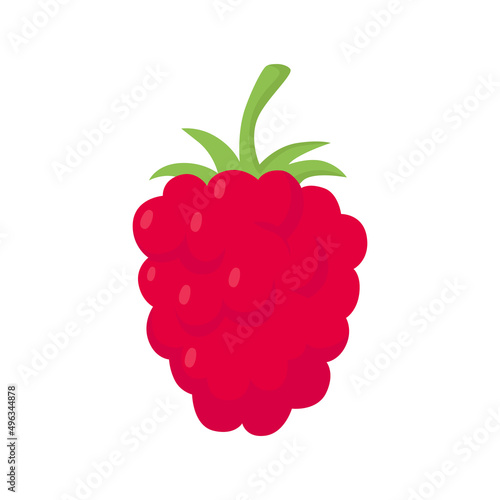 Raspberry - berry. Flat vector illustration in cartoon style