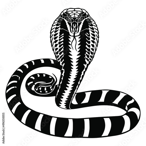 Attacking cobra with open mouth and protruding tongue. vector illustration for cutting vinyl and printing on t-shirts