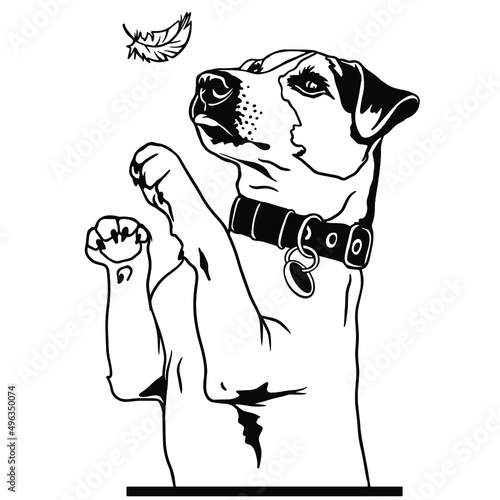 Jack Russell Terrier is a playful dog. Vector file for printing and sublimation and vinyl cutting. Love friendship dog clipart. Hand drawn funny animals. dog smile