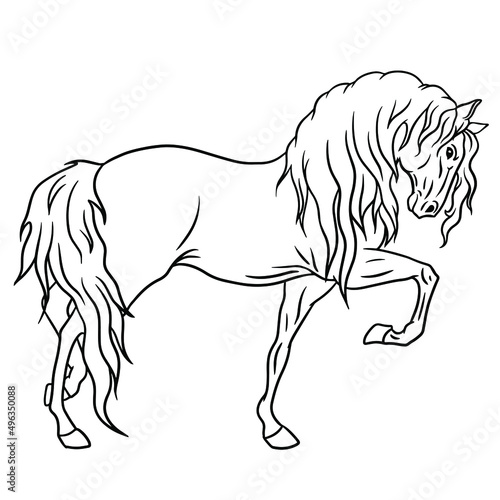 Horse Logo Template Vector icon illustration design