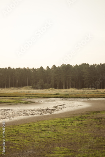 landscape with a river