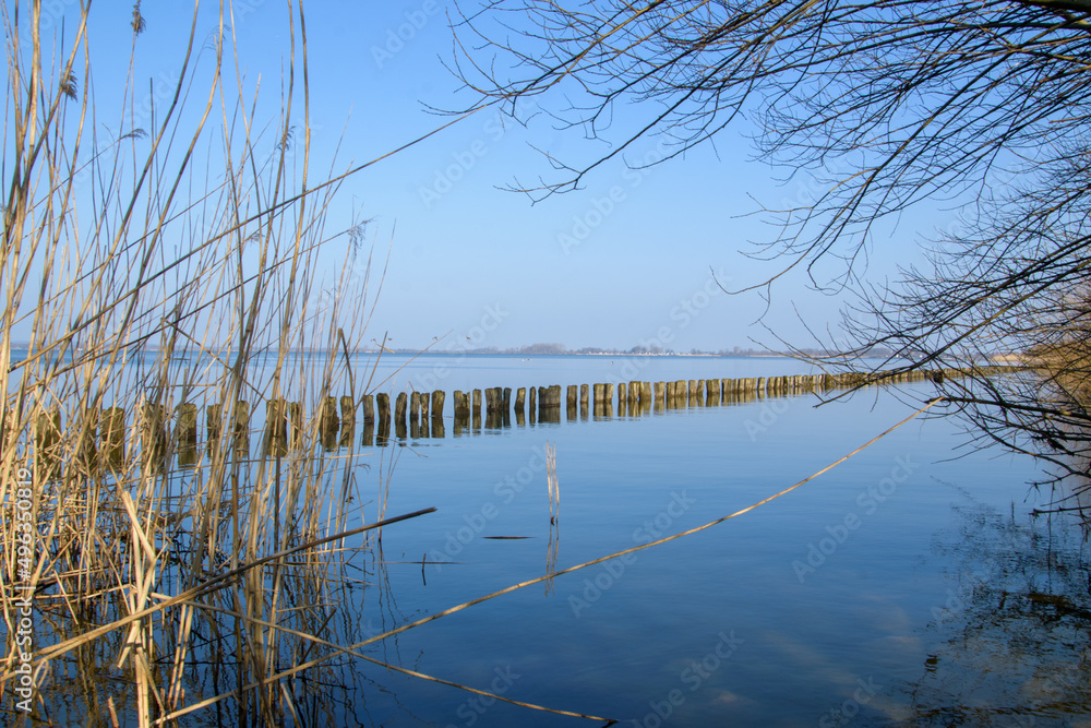 Wanderung um den Dümmer See bei Diepholz. Hier der wunderschöne Ufer zwischen Hüde und Lembruch.