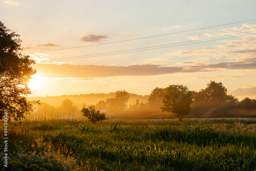 summer sunset, landscape, nature, golden sun, village, field, garden, sun, grass, garden, sky, plants, trees, fog, evening, yellow summer sunset, landscape, nature, golden sun, village, field, garden, sun, grass, garden, sky, plants, trees, fog, evening, yellow