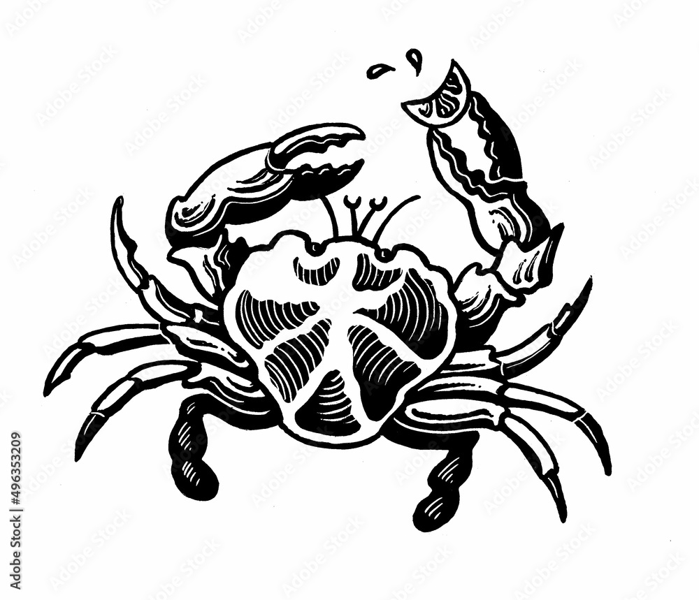 illustration of crab illustration of crab