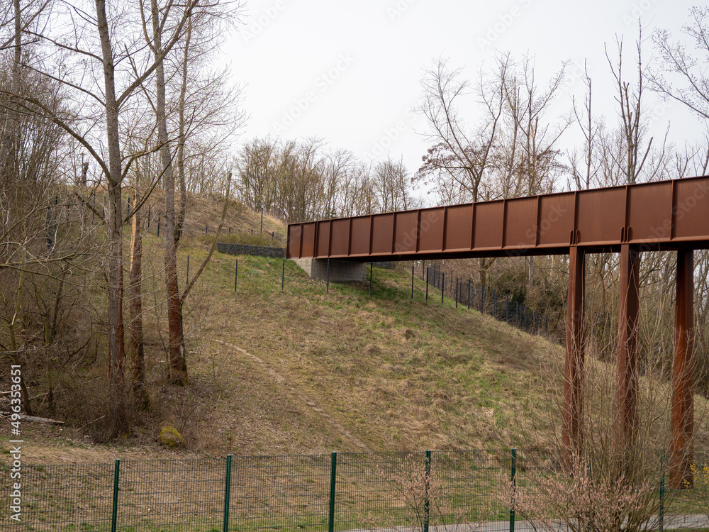 Fototapeta premium Iron bridge in the park. Close up.