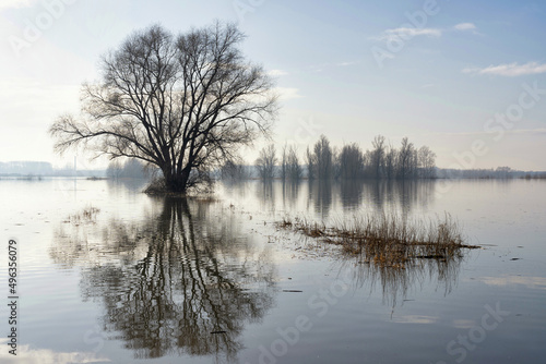 Flooded foreland along the river Waal