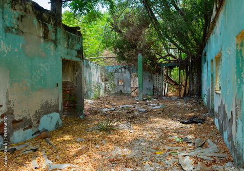 Casa en ruinas