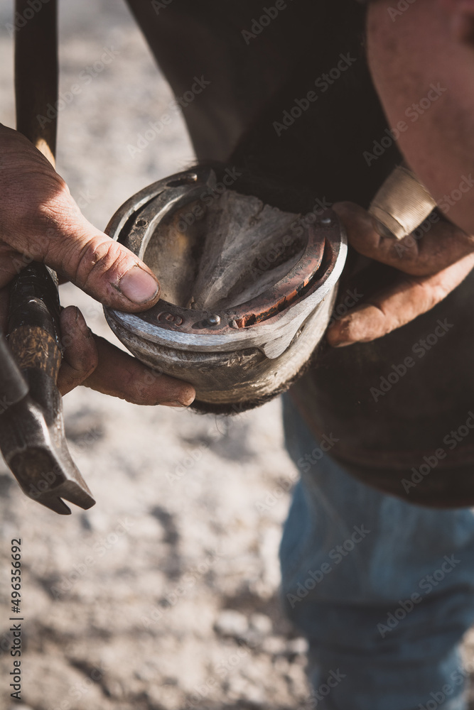 Obraz premium Hufschmied