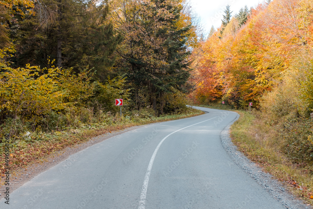 Asphalt road through the deep forest. Nature background.
Asphalt road through the deep forest. Nature background.