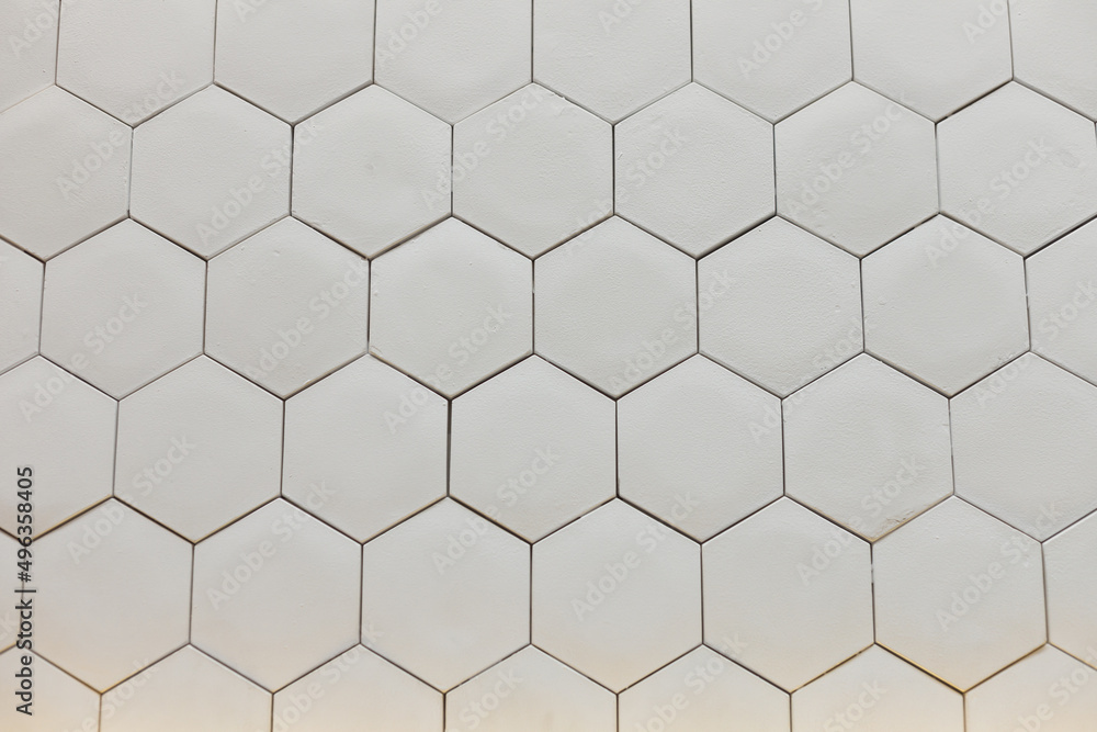 Gypsum tiles for painting pattern for wall design in interior. White background Gypsum tiles for painting pattern for wall design in interior. White background