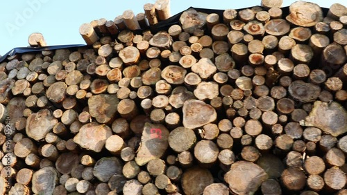 a woodpile of felled wood 30fps video photo