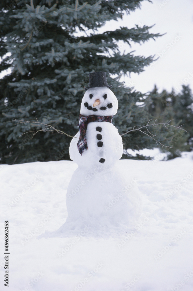 Snowman on a hill Snowman on a hill