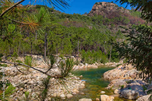 Solenzara river in Bavella forest. Solenzara River with its wonderful natural pools in the crystal clear water in the southeast of the island of Corsica, France